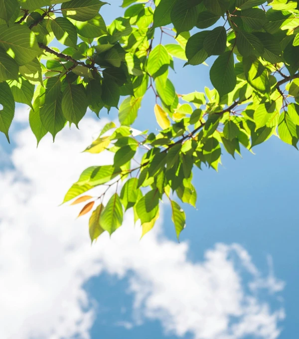 Manter em circulação produtos e materiais