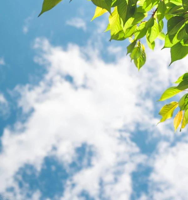 Eliminar resíduos e poluição